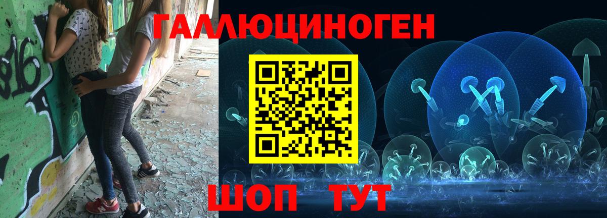 Можайск  Псилоцибиновые грибы Cubensis  где продают наркотики  Вход с VPN 